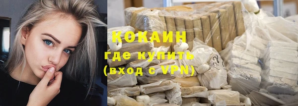 гашик Гусев