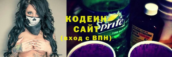 гашик Гусев