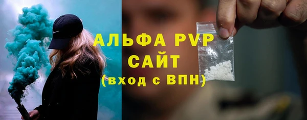 гашик Гусев