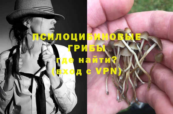 гашик Гусев
