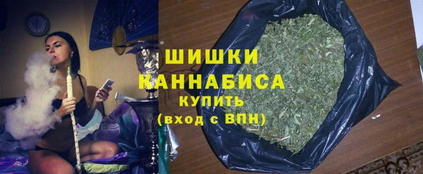 гашик Гусев