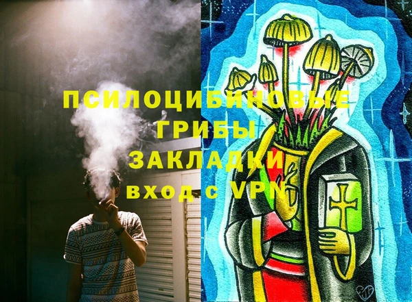 гашик Гусев