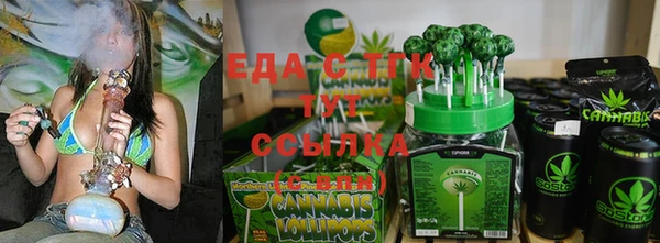 стаф Гусь-Хрустальный
