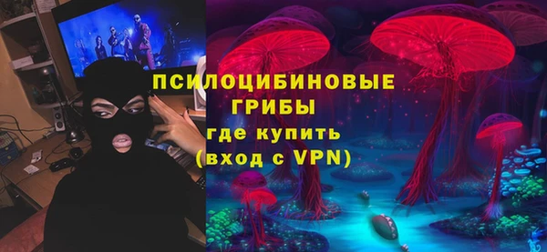 а пвп мука Гусиноозёрск
